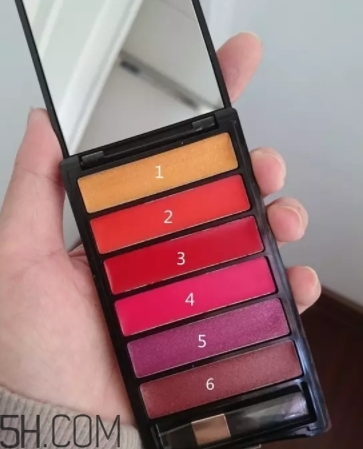 口紅盤和口紅哪個更好？口紅盤和口紅區(qū)別