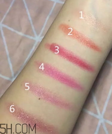 口紅盤和口紅哪個更好？口紅盤和口紅區(qū)別