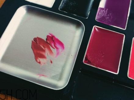 口紅盤和口紅哪個更好？口紅盤和口紅區(qū)別