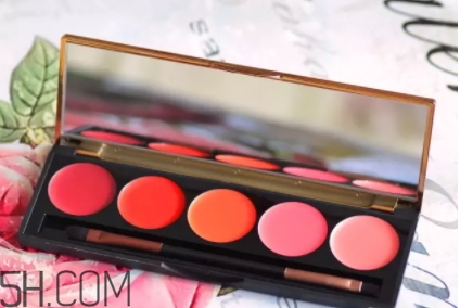 2018年口紅盤哪個牌子好？2018口紅盤排行榜前十強