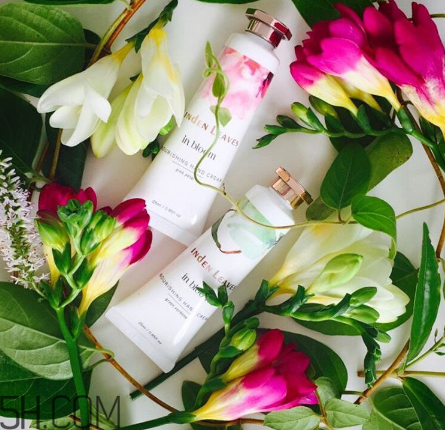 linden leaves香氛護手霜好用嗎？laura ashley護手霜好用嗎？