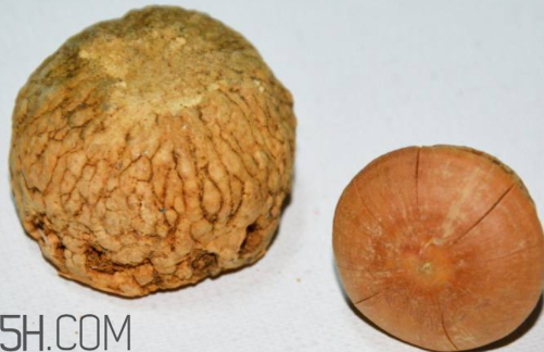 風(fēng)流果可以泡酒嗎 風(fēng)流果怎么泡酒 風(fēng)流果可以泡酒嗎 風(fēng)流果怎么泡酒