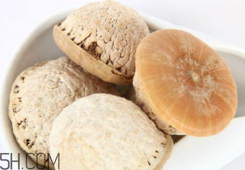 風(fēng)流果可以泡酒嗎 風(fēng)流果怎么泡酒 風(fēng)流果可以泡酒嗎 風(fēng)流果怎么泡酒