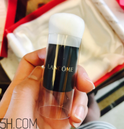 蘭蔻菁純氣墊粉底液110號(hào)色適合黃皮嗎？真人試色