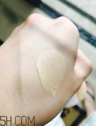 蘭蔻菁純氣墊粉底液110號(hào)色適合黃皮嗎？真人試色