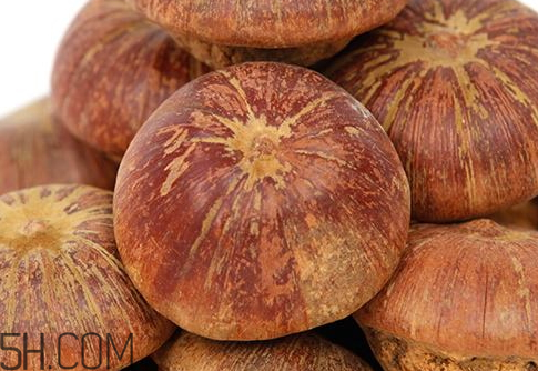 風(fēng)流果是否去殼泡水喝 壯陽(yáng)果要去外殼嗎 風(fēng)流果是否去殼泡水喝 壯陽(yáng)果要去外殼嗎