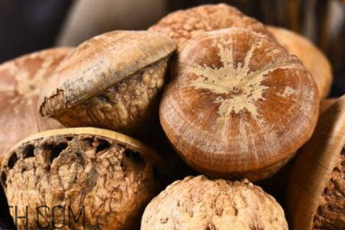 風(fēng)流果是否去殼泡水喝 壯陽(yáng)果要去外殼嗎 風(fēng)流果是否去殼泡水喝 壯陽(yáng)果要去外殼嗎