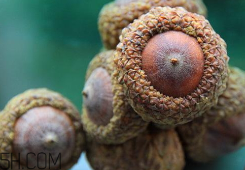 壯陽(yáng)果和什么能配一起 壯陽(yáng)果和什么泡酒最好 壯陽(yáng)果和什么能配一起 壯陽(yáng)果和什么泡酒最好