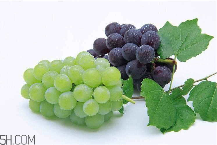 哪些水果有滋陰效果？有滋陰效果的水果有哪些？