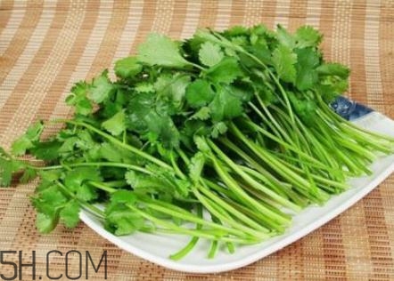 香菜根煮水怎么煮？香菜根煮水喝幾天見(jiàn)效？