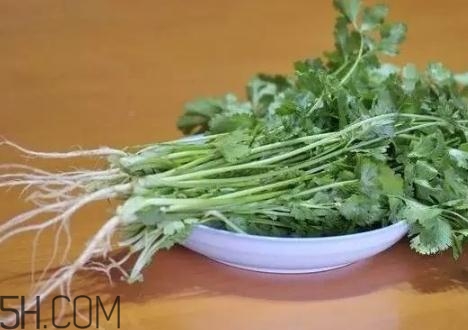 香菜根煮水能減肥嗎？香菜根煮水能天天喝嗎？