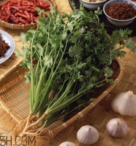 香菜根煮水能減肥嗎？香菜根煮水能天天喝嗎？