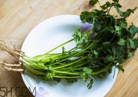 香菜根煮水能減肥嗎？香菜根煮水能天天喝嗎？