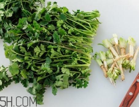 香菜根煮水能退燒嗎？香菜根煮水能治咳嗽嗎？