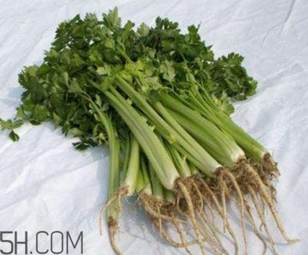 香菜根煮水能退燒嗎？香菜根煮水能治咳嗽嗎？