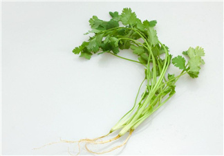 香菜根煮水能治濕疹嗎？香菜根煮水孕婦能喝嗎？