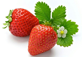 草莓空心好還是實心好？草莓中間空心是為什么？