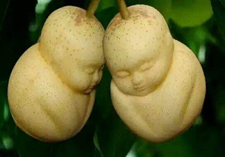 女人吃人參果有哪些好處？人參果的營(yíng)養(yǎng)價(jià)值是什么？