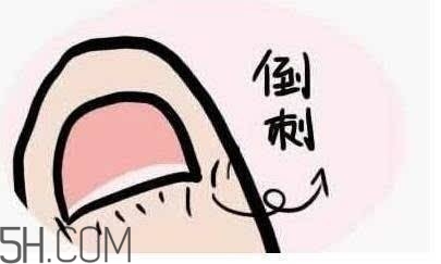 日本平價(jià)護(hù)手霜使用心得 日本藥妝kose q10護(hù)手霜深度測評(píng)