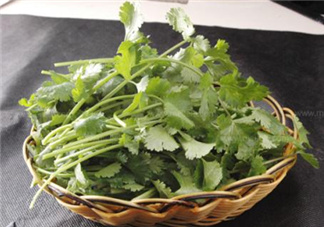 香菜根煮水能減肥嗎？香菜根煮水能天天喝嗎？