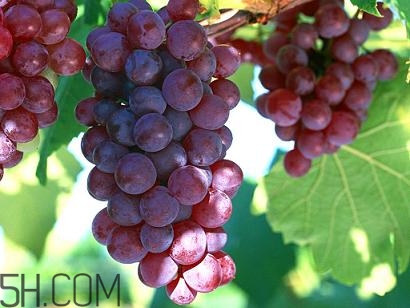 女性產(chǎn)后胸部松弛吃什么好？產(chǎn)后乳房變形如何保健？