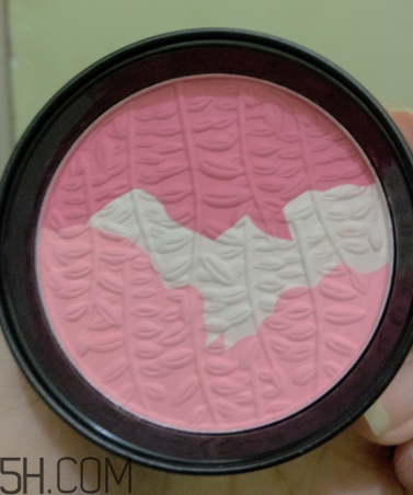 瑪麗黛佳腮紅怎么打？瑪麗黛佳腮紅怎么用？