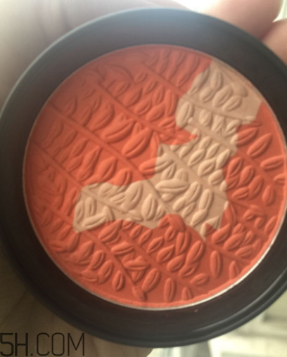 瑪麗黛佳腮紅怎么打？瑪麗黛佳腮紅怎么用？