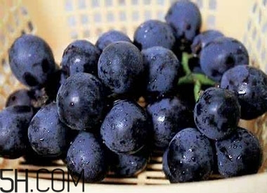 吃黑加侖對(duì)眼睛有什么好處？吃黑加侖要注意什么？