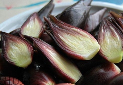 洋合筍多少錢(qián)一斤 洋合筍種子哪里有賣