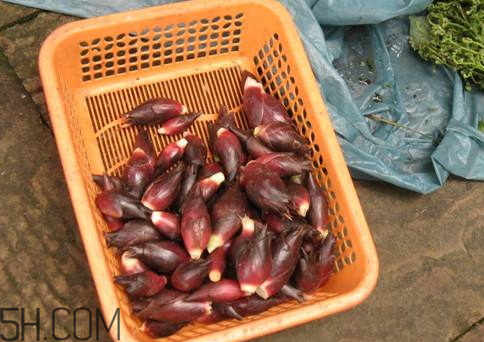 洋合筍多少錢(qián)一斤 洋合筍種子哪里有賣