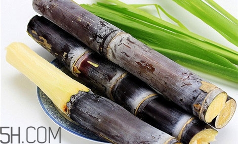 吃完甘蔗多久可以吃柿子？甘蔗和柿子一起吃了怎么辦？