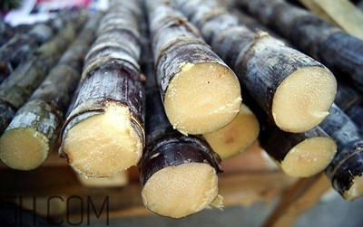 甘蔗和橙子能一起吃嗎？吃完甘蔗可以吃橙子嗎？