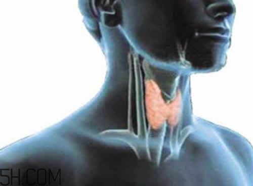 甲狀腺腫大和甲亢的區(qū)別有哪些？甲狀腺腫大適合吃什么食物？