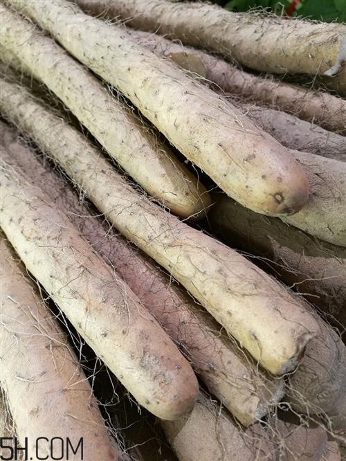 山藥牛油果能一起吃嗎？牛油果和山藥一起吃有什么好處？