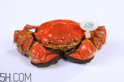 螃蟹和草莓可以一起吃嗎？吃了草莓可以吃螃蟹嗎？