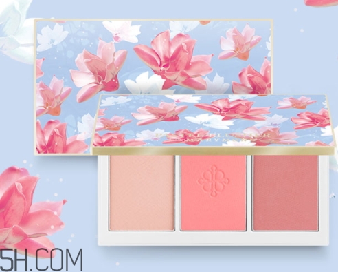 腮紅盤碎了怎么辦？腮紅盤摔碎了怎么修復(fù)