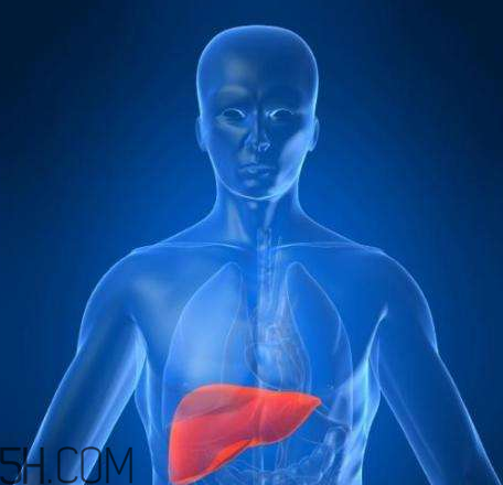 牙齦出血是肝臟出了問(wèn)題？牙齦出血跟肝臟病變是否劃等號(hào)？