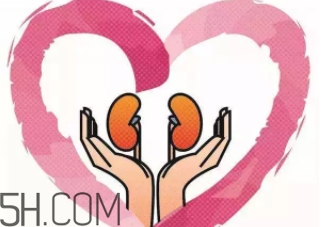 腎不好會(huì)早衰越長(zhǎng)越矮？護(hù)腎千金方早用早好