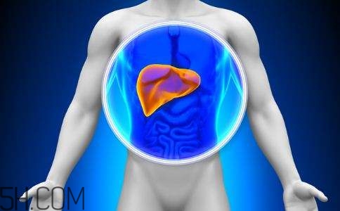 肝癌的高發(fā)人群有哪些？日常怎么預(yù)防肝癌？