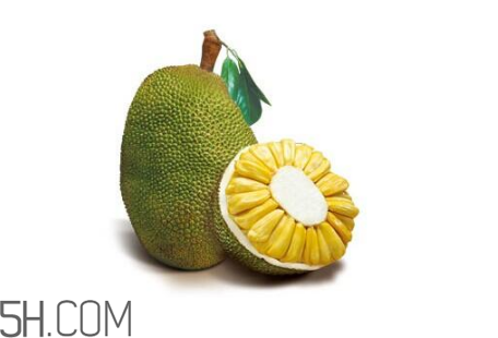 為什么吃菠蘿蜜拉肚子？吃菠蘿蜜拉肚子怎么辦？