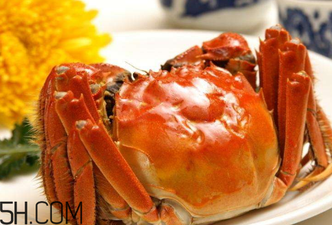 冬天可以吃大閘蟹嗎？冬天怎么吃大閘蟹？