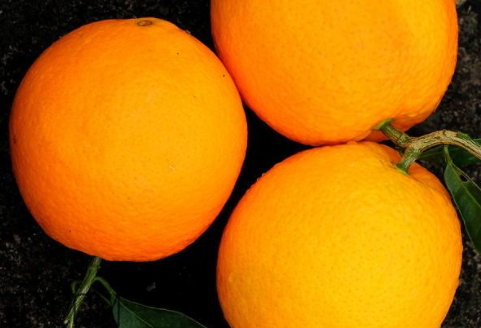 冰糖橙可以放多久 冰糖橙怎么保存 冰糖橙可以放多久 冰糖橙怎么保存