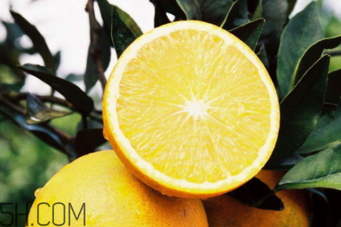 冰糖橙可以放多久 冰糖橙怎么保存 冰糖橙可以放多久 冰糖橙怎么保存