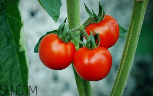 有效祛除痘印的方法？吃什么能夠去除痘痘呢？