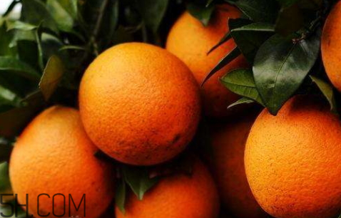 冰糖橙可以治咳嗽嗎？鹽蒸橙子快速治咳嗽