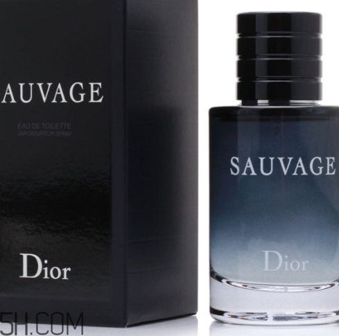 dior迪奧曠野男士淡香水好聞嗎？頻頻斷貨的魅力香水