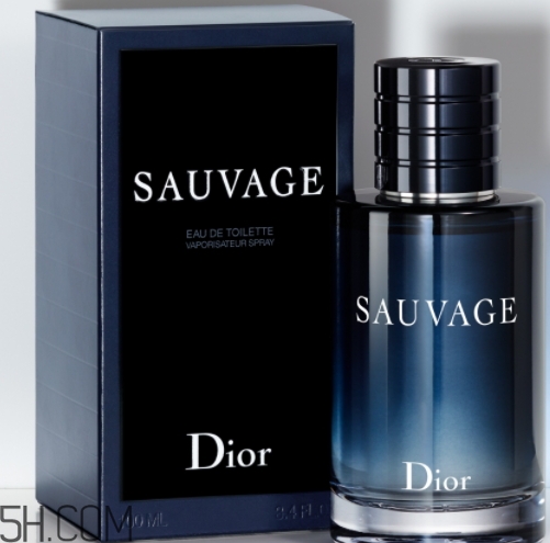 dior迪奧曠野男士淡香水好聞嗎？頻頻斷貨的魅力香水