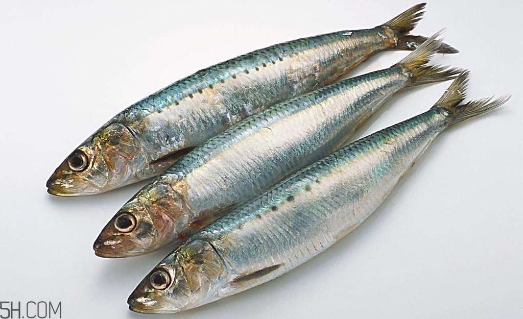 蕁麻疹不可以吃哪些食物？原來它也不能吃