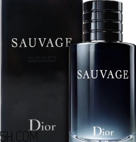 dior迪奧曠野男士淡香水好聞嗎？頻頻斷貨的魅力香水