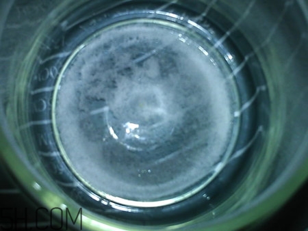 鹽漬金桔多久可以吃？鹽漬金桔放久了能吃嗎？